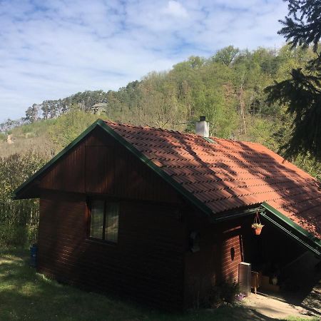 Chata U Certovych Hlav Villa Zelizy Dış mekan fotoğraf